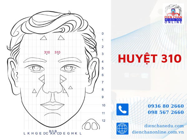 HUYỆT 310