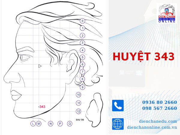 HUYỆT 343