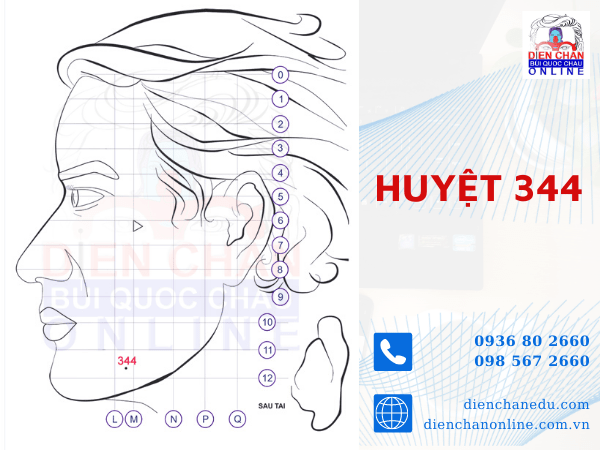HUYỆT SỐ 344