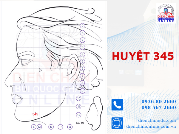 HUYỆT SỐ 345