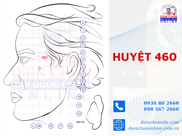 HUYỆT 460