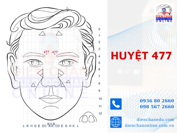 HUYỆT 477