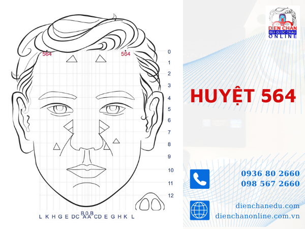 HUYỆT SỐ 564