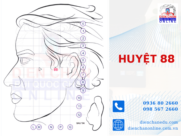 HUYỆT SỐ 88
