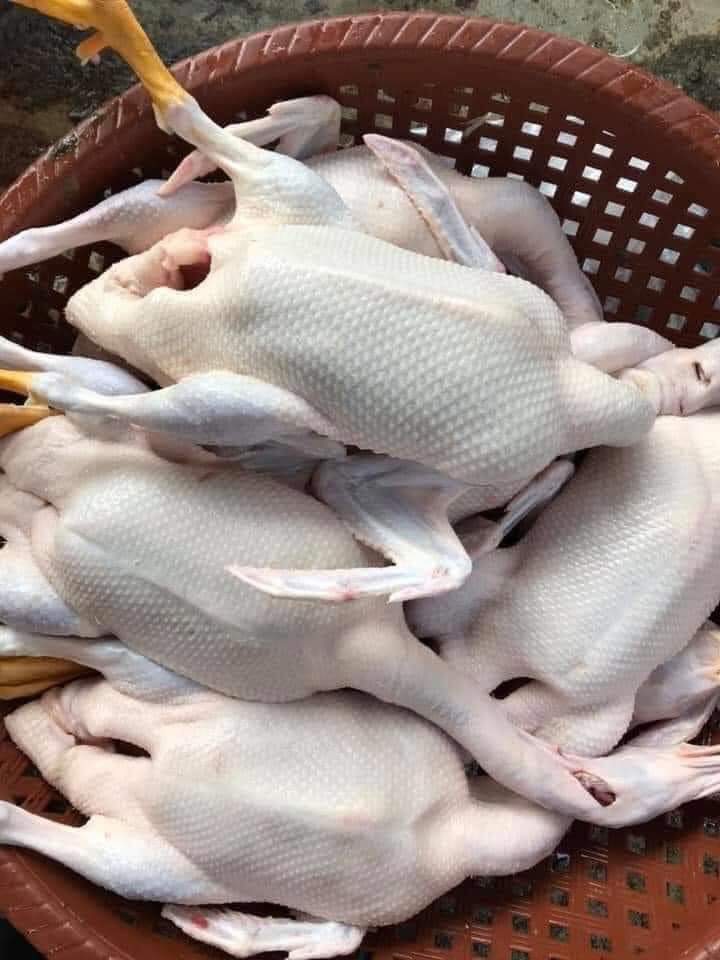 NGAN LAI VỊT TRÊN DƯỚI 1KG SAU THỊT