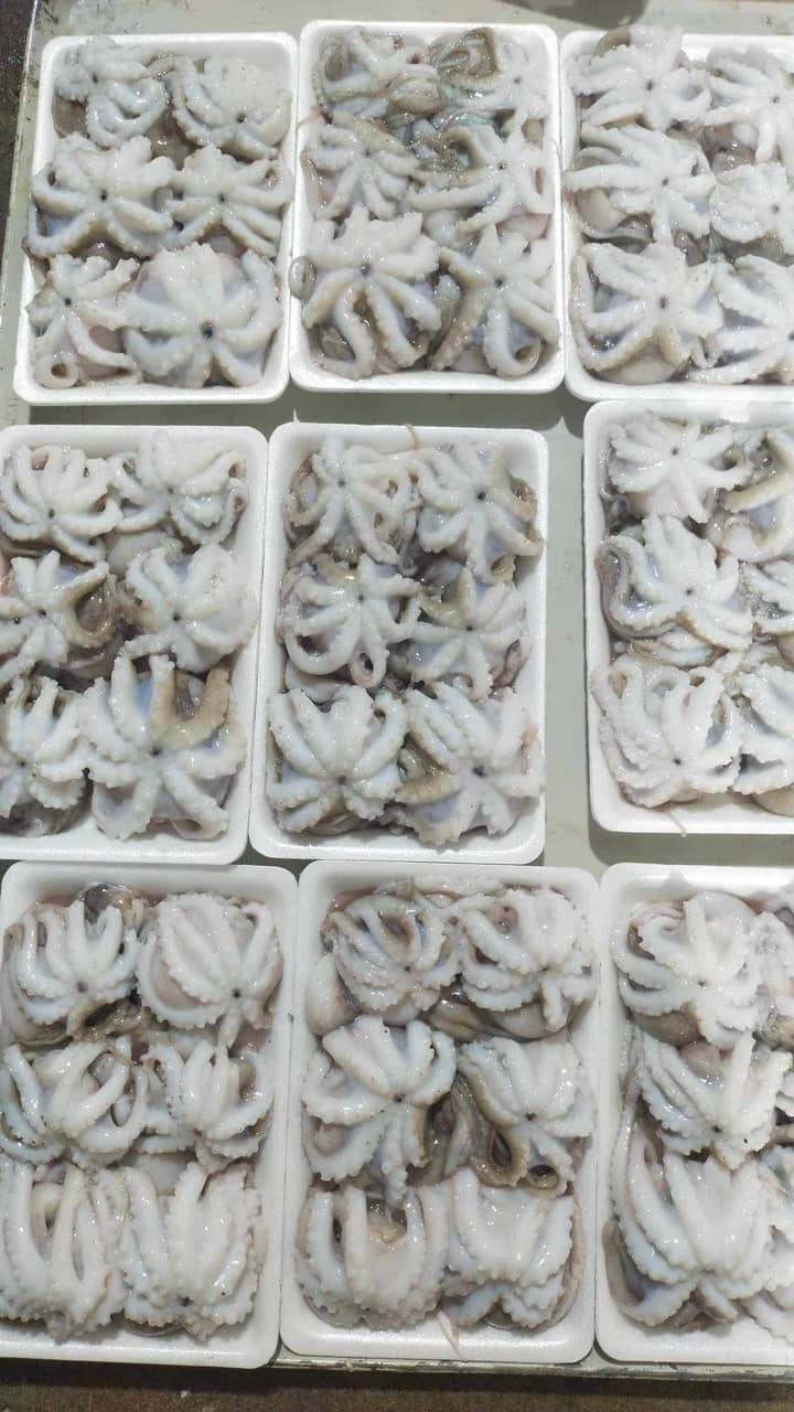 BẠCH TUỘC SỮA LÀM SẠCH