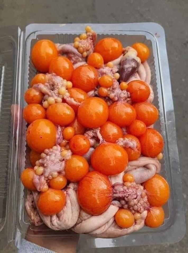 TRÀNG TRỨNG GÀ NON