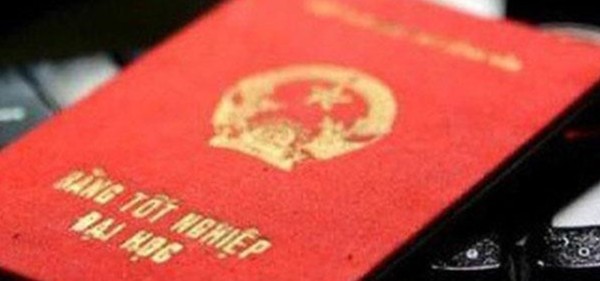 Hệ đào tạo là gì? Khám phá NEU–Toyo – Giải pháp học đại học trực tuyến cho người Việt tại Nhật