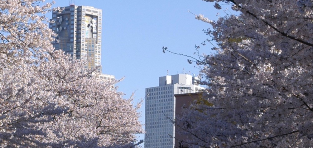 Đại học Từ xa tại Nhật Bản – Toyo tiên phong mang cơ hội học cử nhân NEU đến cộng đồng người Việt