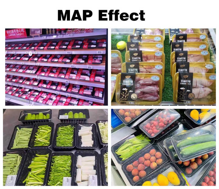 Máy Dán Miệng Khay Nhựa Tự Động Kèm Hút Chân Không Hoặc MAP Khí RS ES40TE