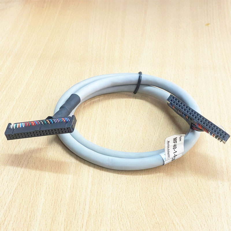 Cáp MF40-1-PX01 Module Adapter Cable IDC 40 Pin Pitch 2.54 Female to Female Dài 1M For PLC LS XGB Terminal PCB Breakout Board
