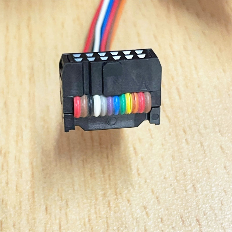 Cáp Bẹ Nhiều Màu Cầu Vồng IDC 2x6 12 Pin Flat Ribbon Cable Female to Female 2.54mm FC/FD Connector A Type 12 Pin Pitch 2.54mm Length 50cm