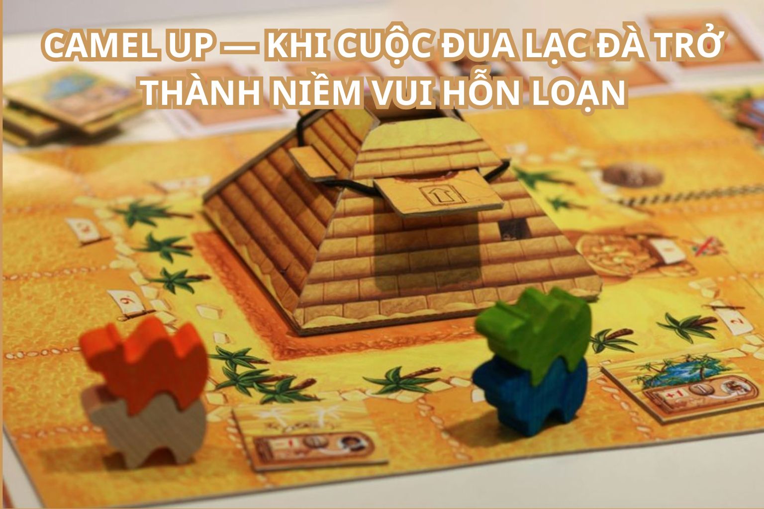 Camel Up — Khi cuộc đua lạc đà trở thành niềm vui hỗn loạn