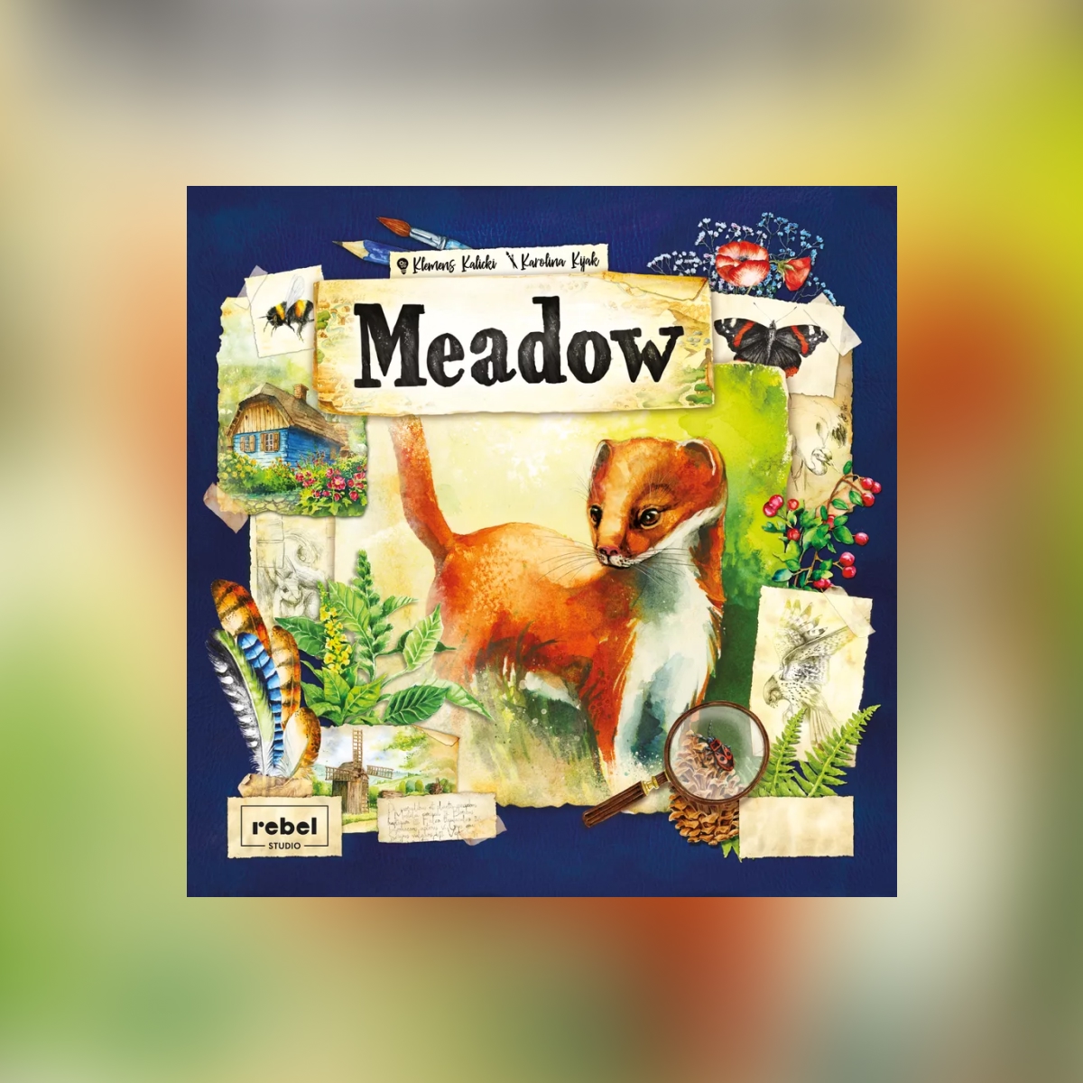 MEADOW