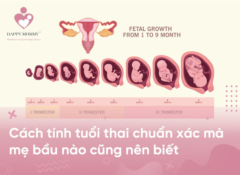 Các cánh tính tuổi thai mẹ bầu nên biết