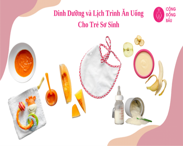 Dinh Dưỡng và Lịch Trình Ăn Uống Cho Trẻ Sơ Sinh