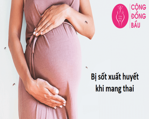 Sốt xuất huyết khi mang thai có nguy hiểm không?