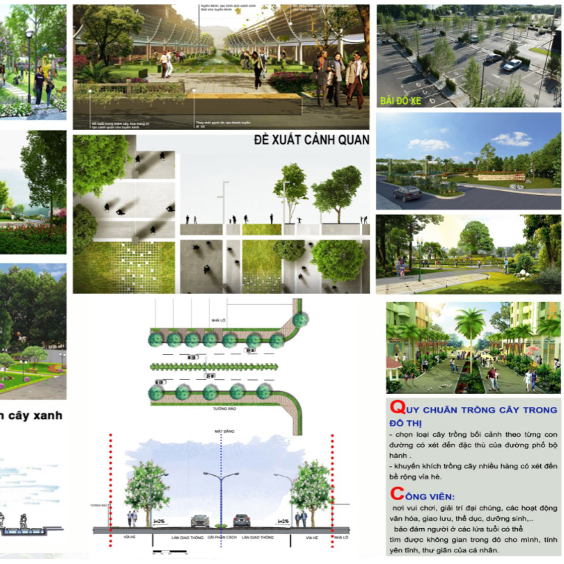 Tổ chức không gian cây xanh, mặt nước