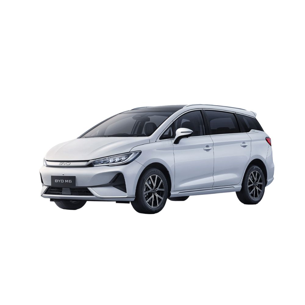 BYD M6