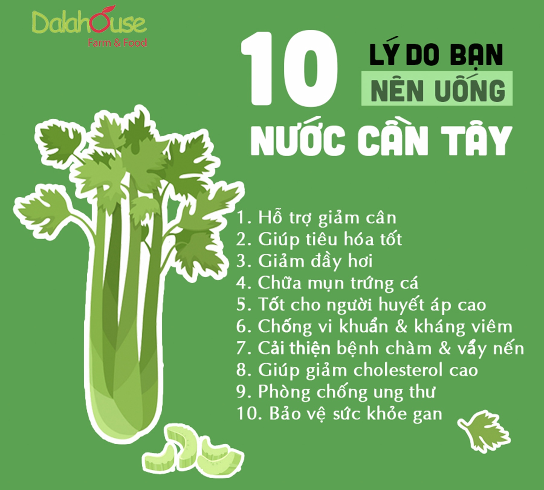 Bột Cần Tây Hữu Cơ Nguyên Chất Dalahouse Hộp 60g