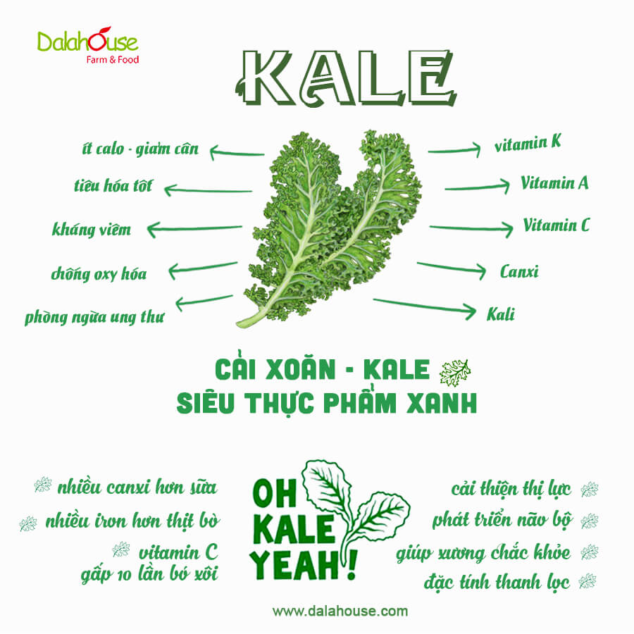 Bột Cải Xoăn (Cải KALE) Dalahouse Lon 120g