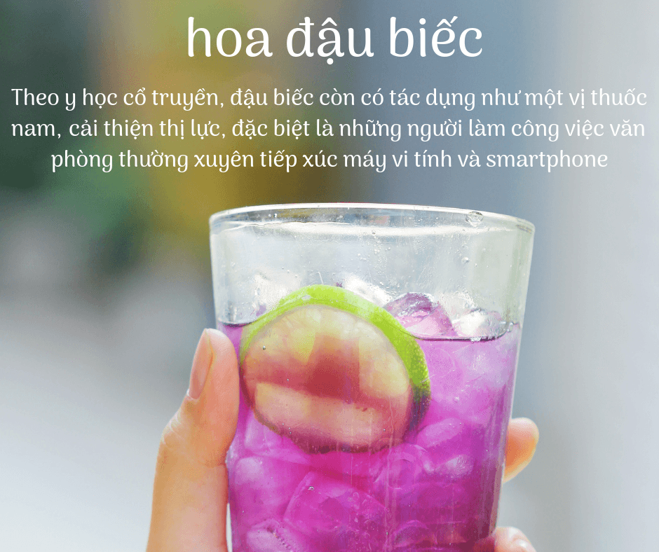 Bột Hoa Đậu Biếc Dalahouse Hộp 60g
