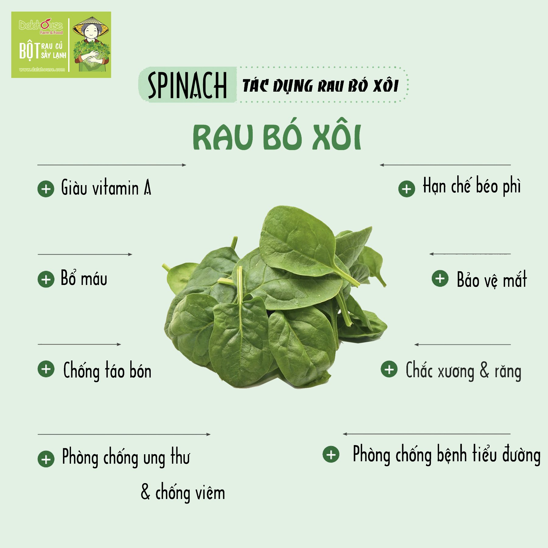 Bột Rau Bó Xôi Tươi Dalahouse Hộp 60g