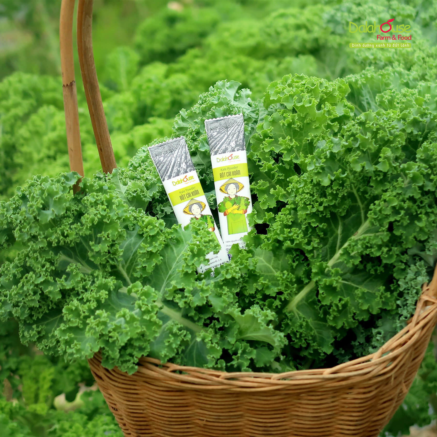 Bột Rau Củ Detox 7 Vị 21 Gói Dalahouse