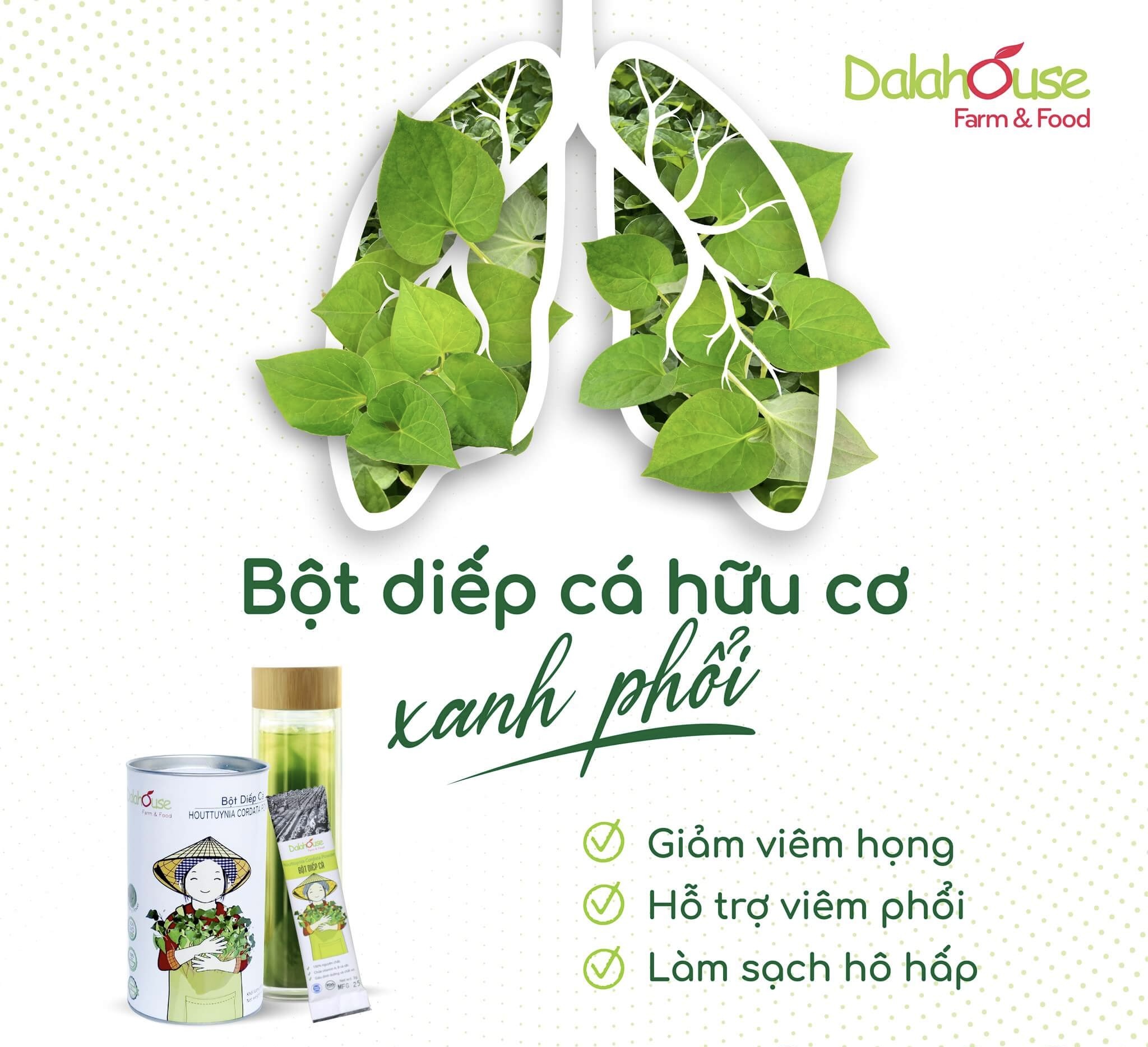 Bột Rau Diếp Cá Dalahouse Hộp 60g