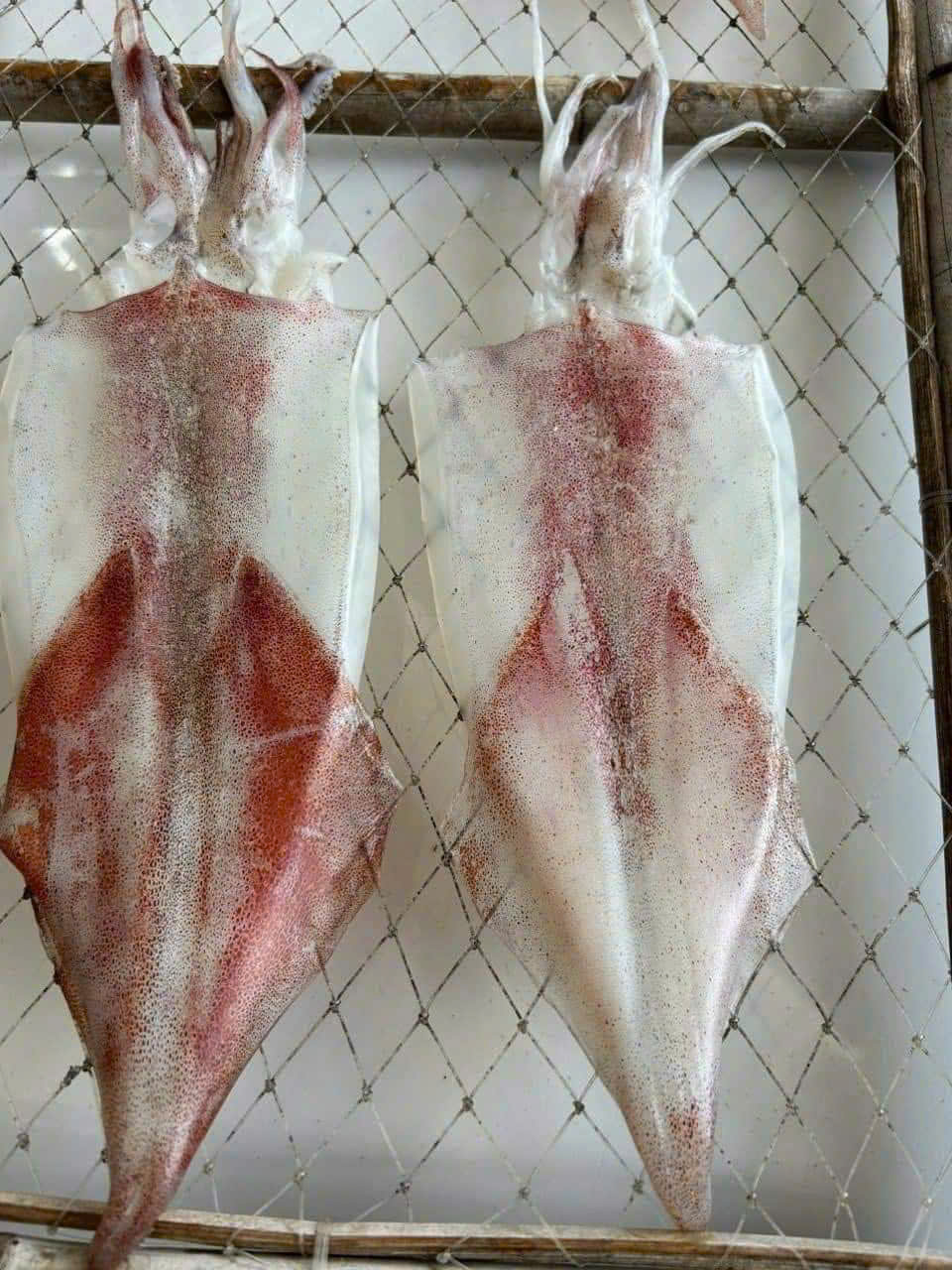 Mực Dẻo 2 Nắng