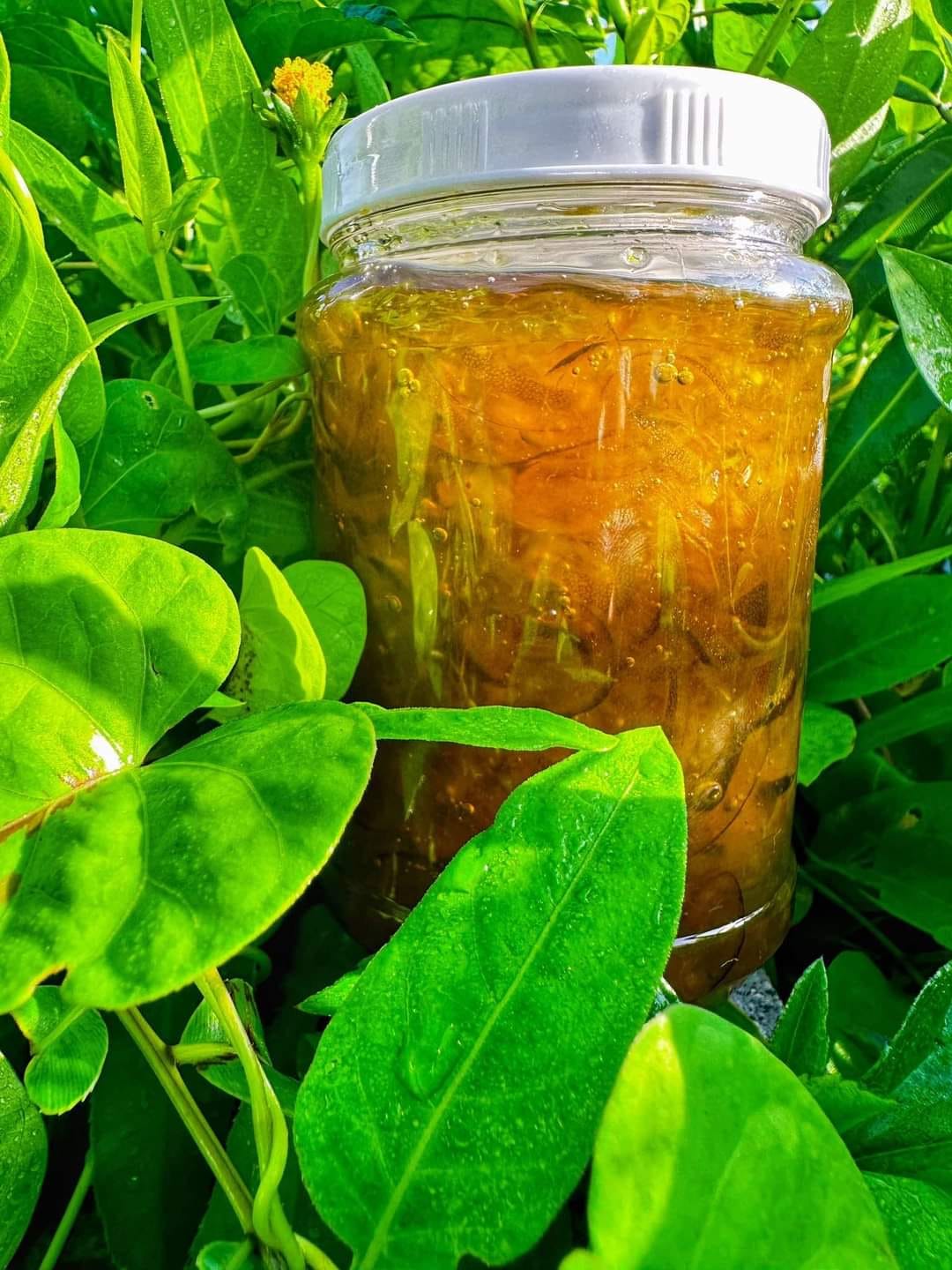 Tắc xí muội đường phèn