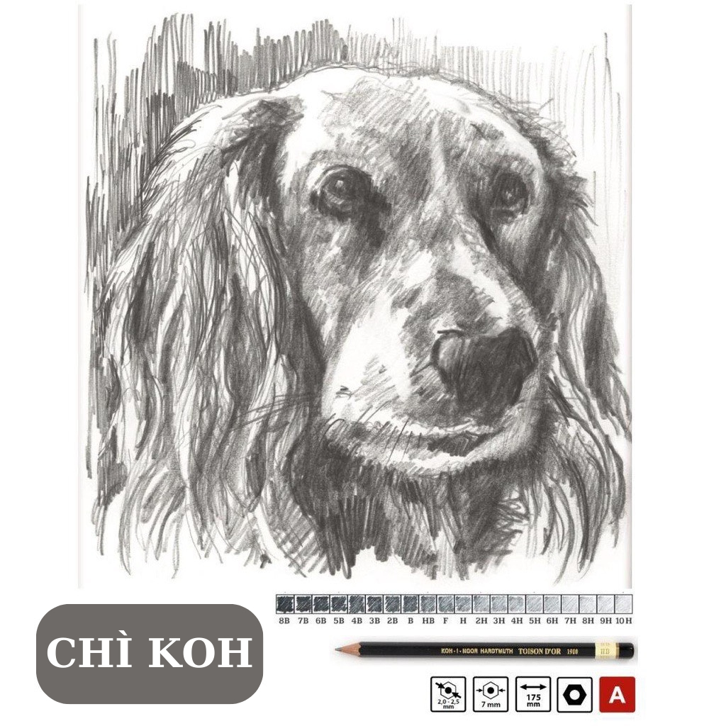 Bút chì Tiệp KOH 1900 thân đen, viết chì gỗ độ chì HB/ 2B/ 3B/ 4B/ 5B/ 6B/ 7B/ 8B