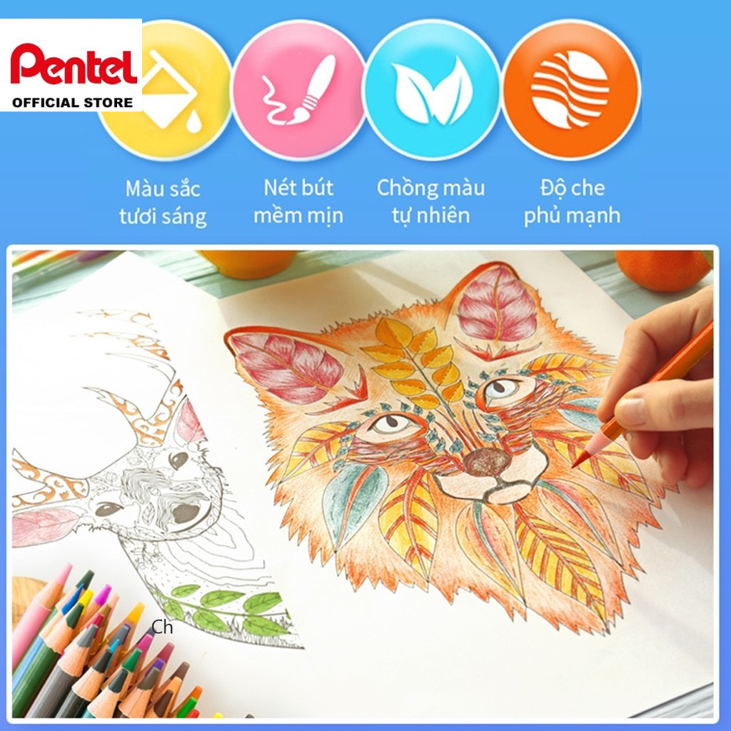 Bút chì màu, bộ chì màu khô Pentel CB8 12/ 24/ 36 màu chất lượng cao