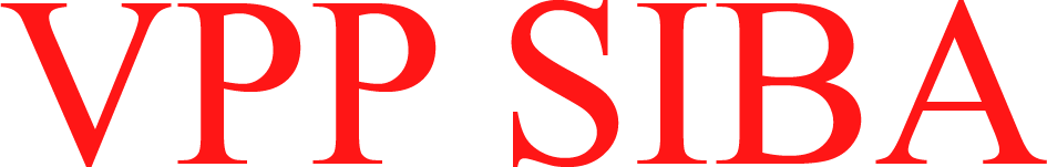 Website chính thức của VPP Dũng Tiến, Siba Shop, Siba Art