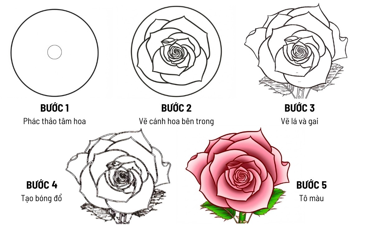 Cách Vẽ Hoa Hồng Đơn Giản Cho Trẻ 9-15 Tuổi