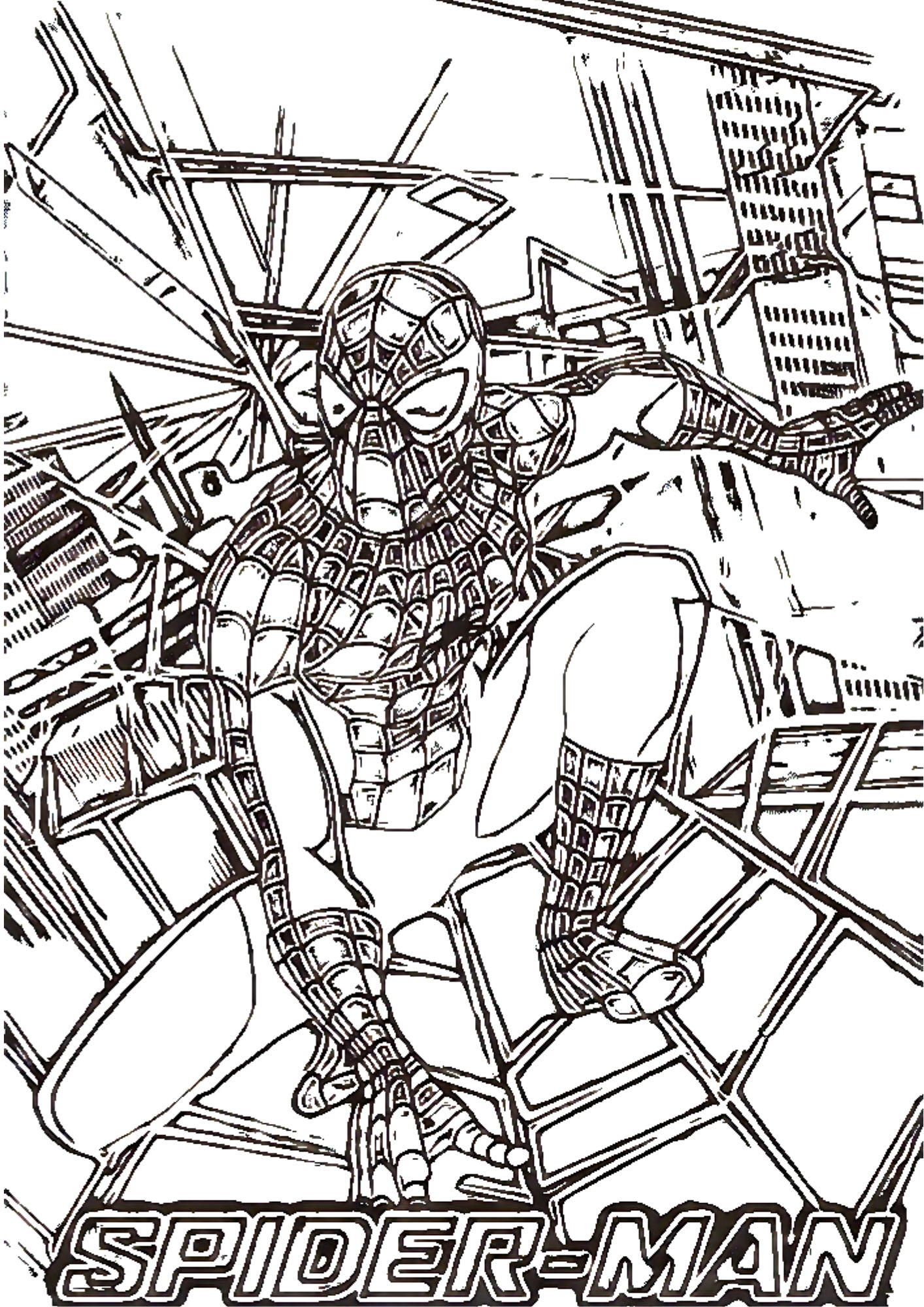 tranh tô màu siêu nhân người nhện spider man cho bé 9-12 tuổi ảnh 6