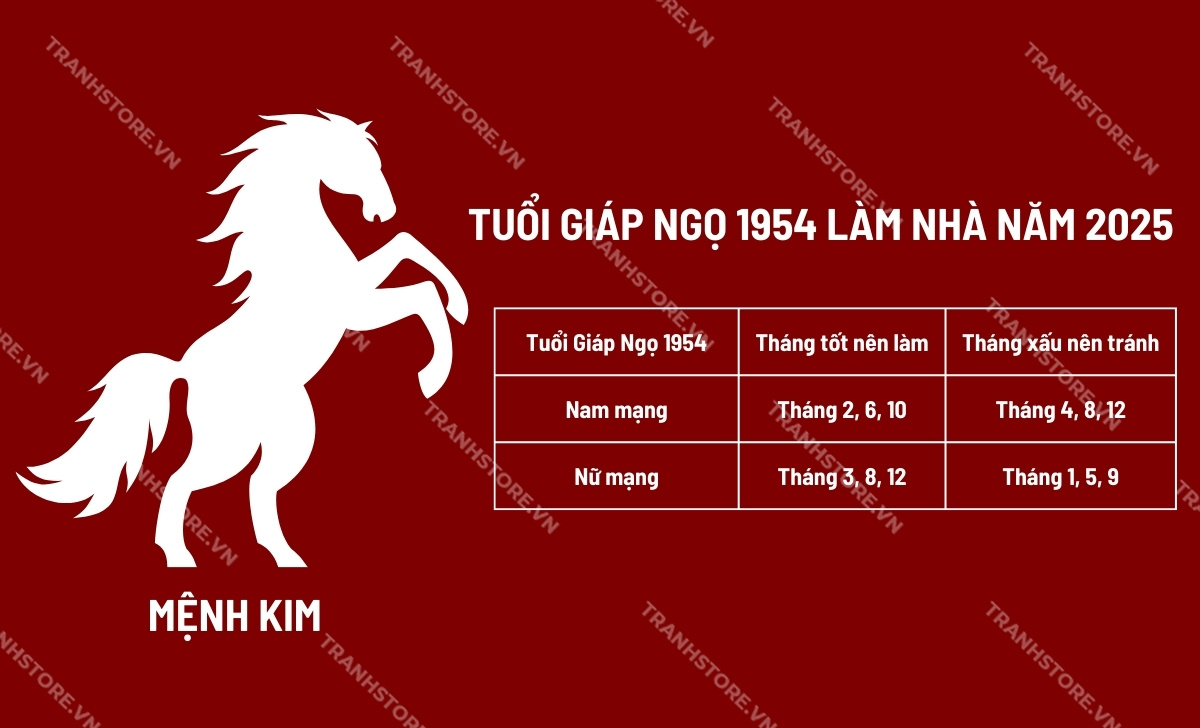 Tuổi Giáp Ngọ Làm Nhà Năm 2025: Lưu Ý Và Những Điều Cần Biết
