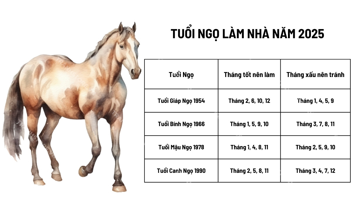 Tuổi 1985 Làm Nhà Năm 2025 Tháng Nào Tốt Nhất? Tìm Hiểu Lựa Chọn Lý Tưởng