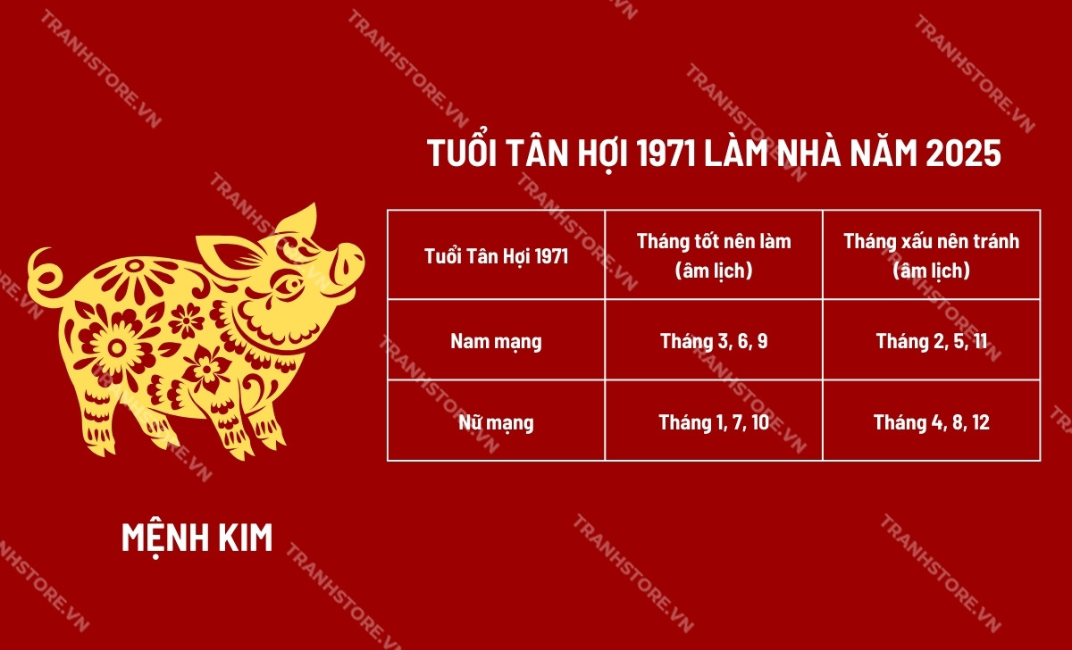 tuổi tân hợi làm nhà năm 2025 tháng nào tốt hợp mệnh kim