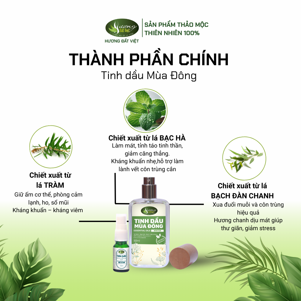Tinh dầu mùa đông 50ml-V