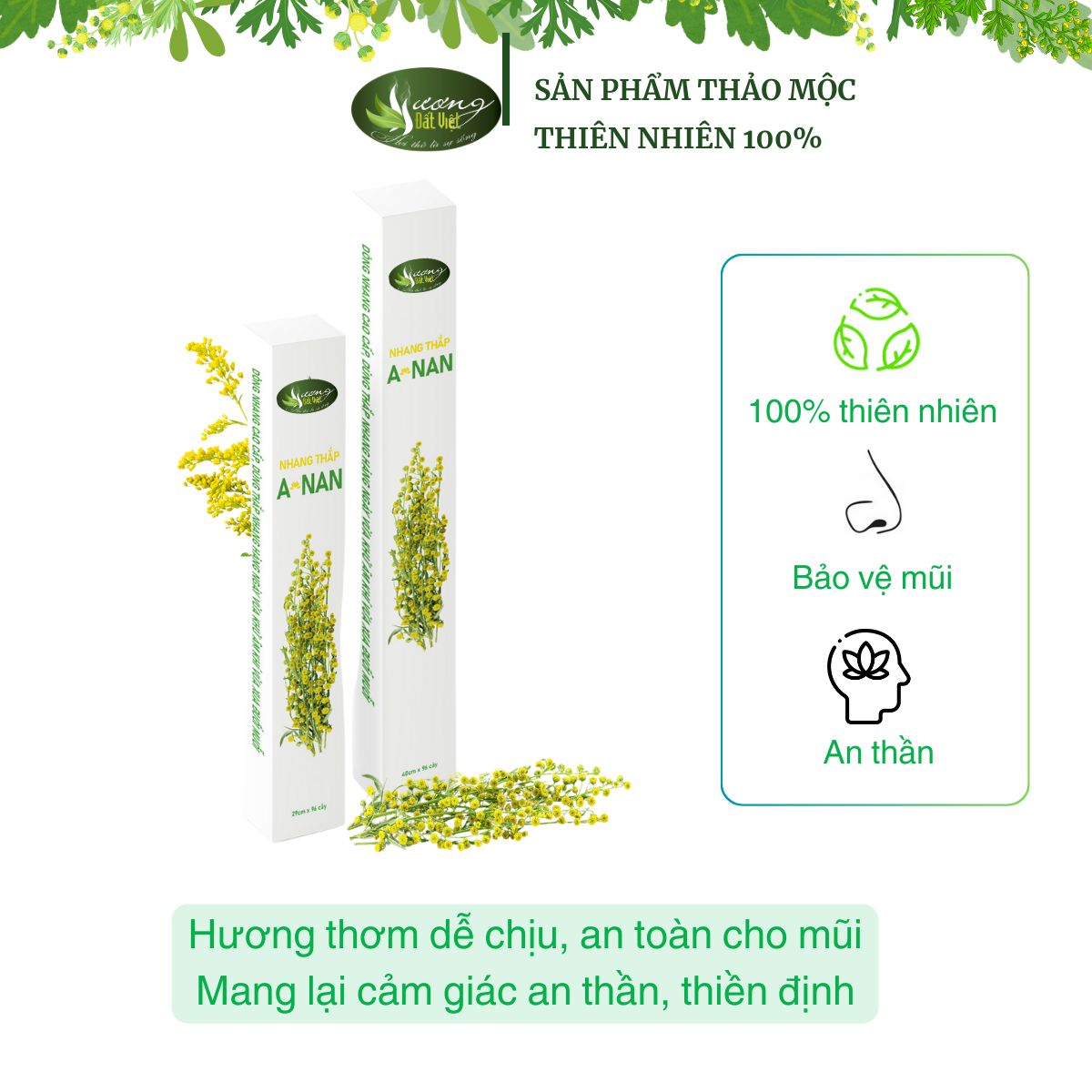 Nhang thắp ANan 40cm