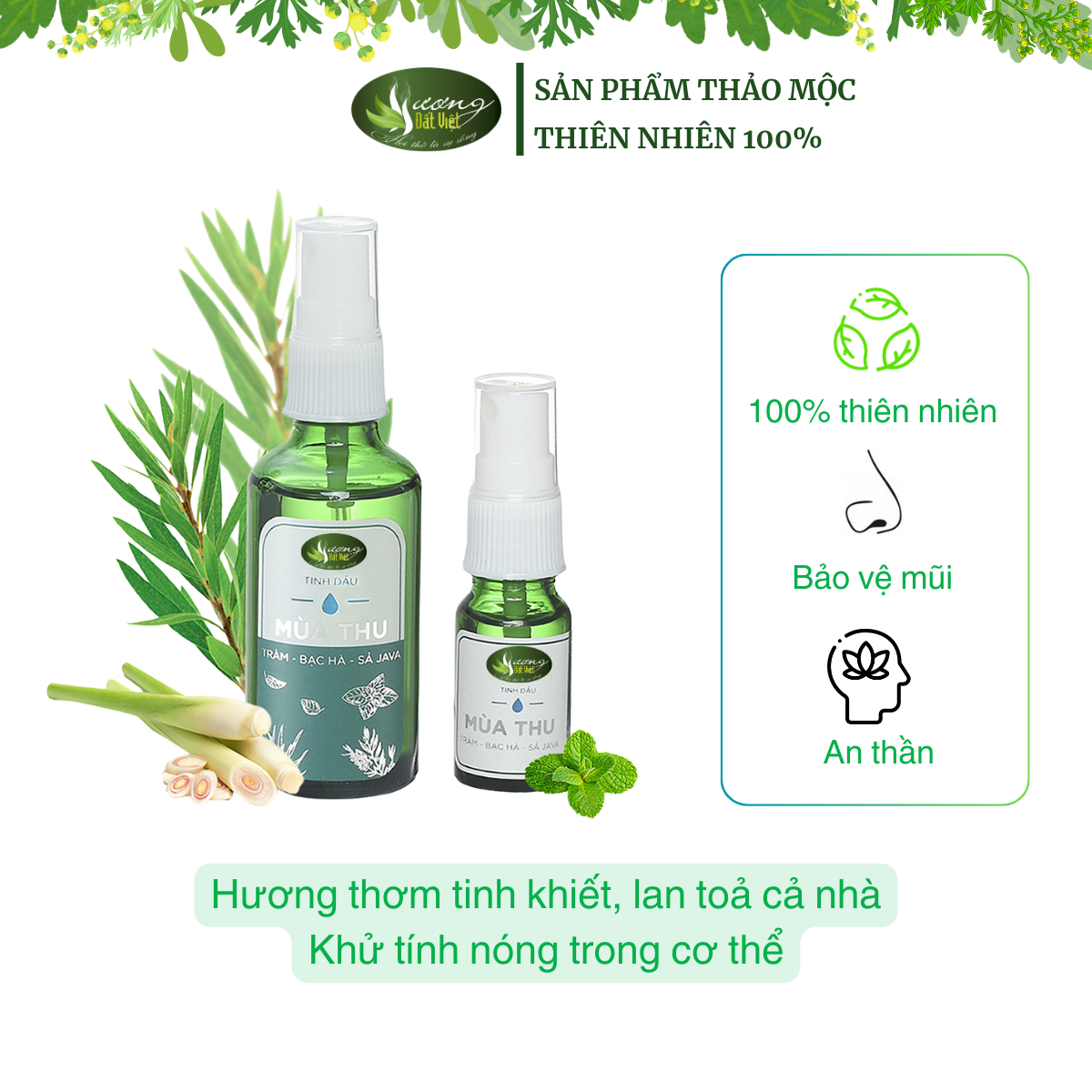 Tinh dầu mùa thu 50ml