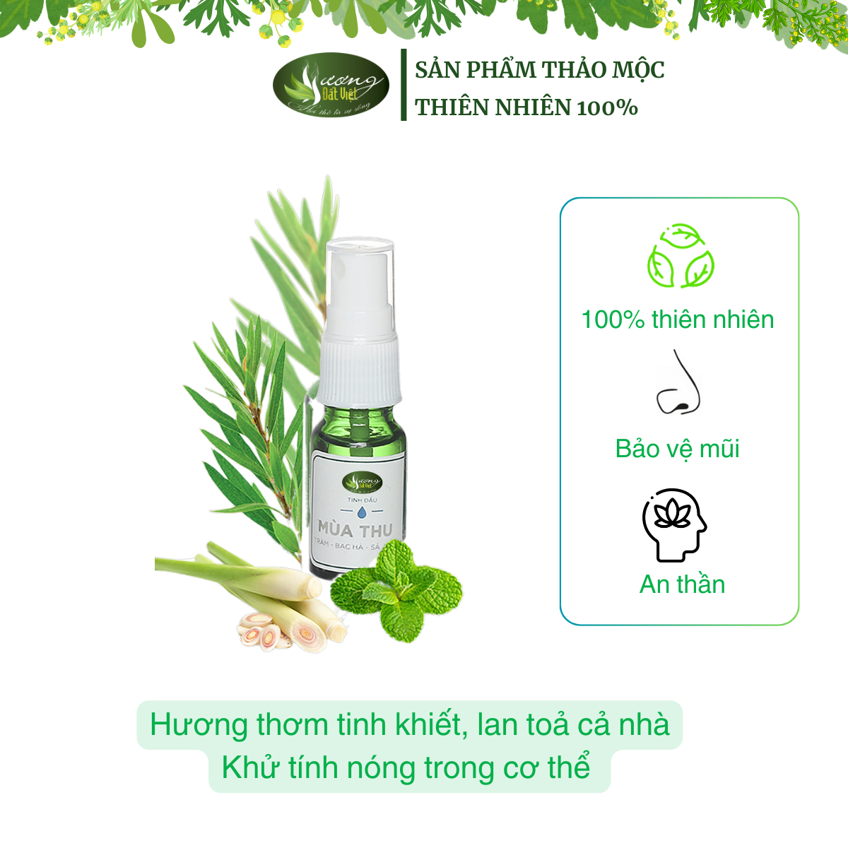 Tinh dầu mùa thu 50ml
