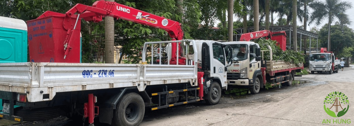 Môi trường An Hưng