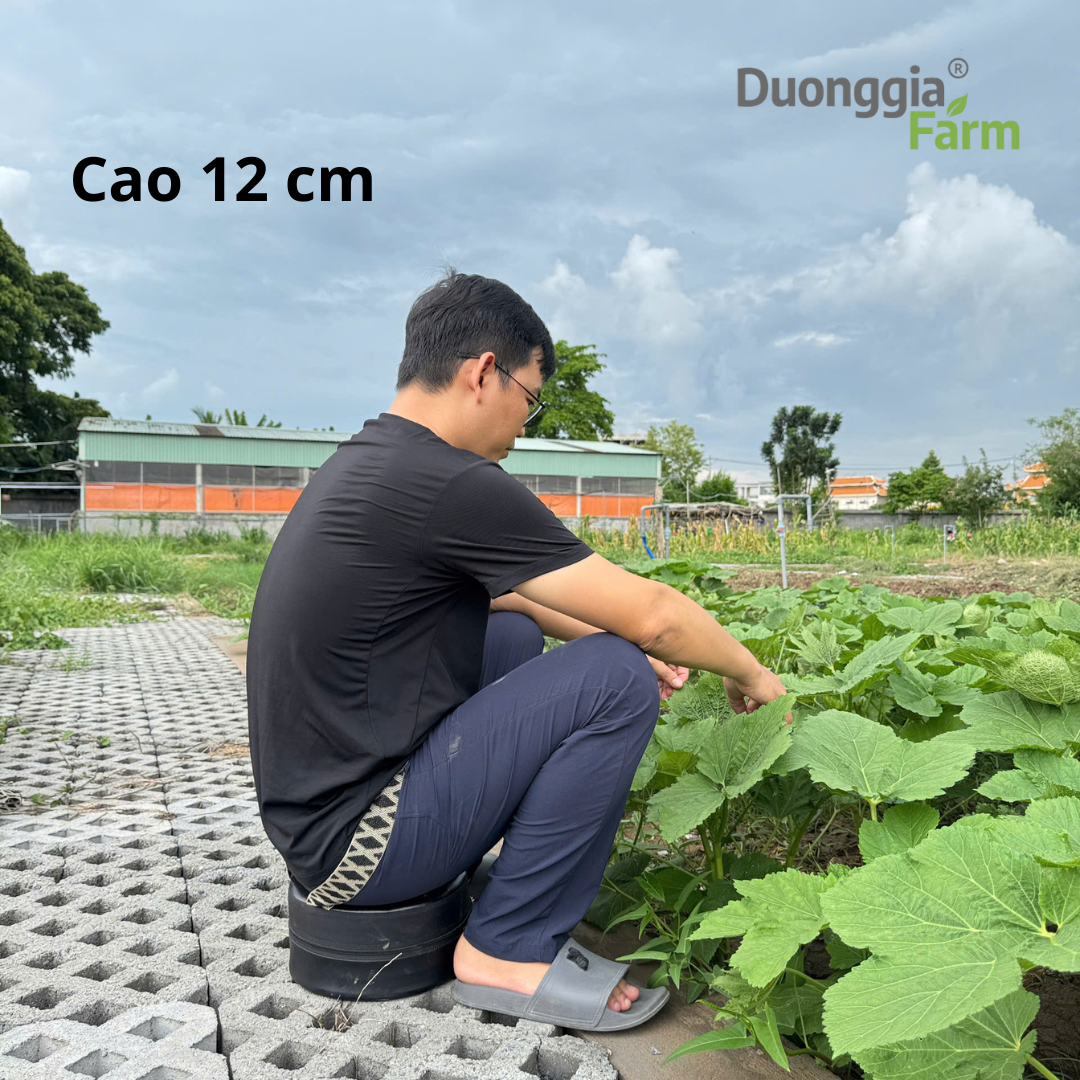 Ghế Làm nông