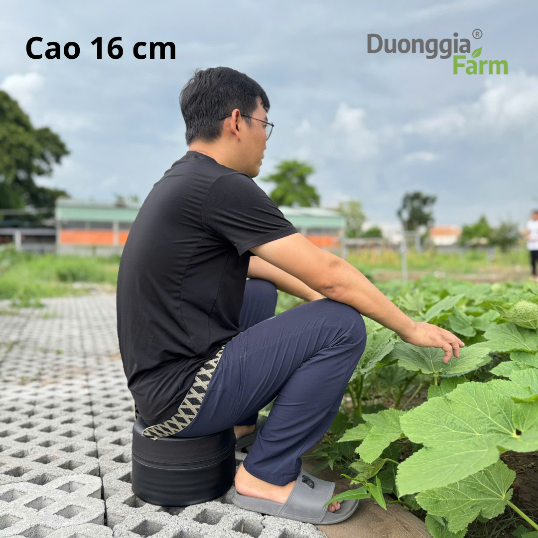 Ghế Làm nông