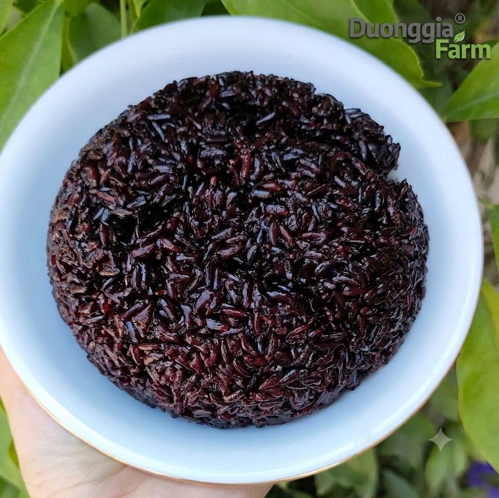 GẠO ST TÍM CÁT TIÊN HỮU CƠ