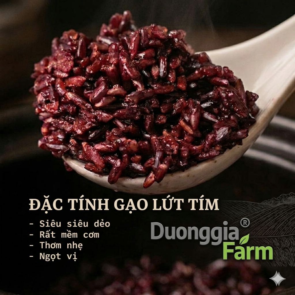 GẠO ST TÍM CÁT TIÊN HỮU CƠ