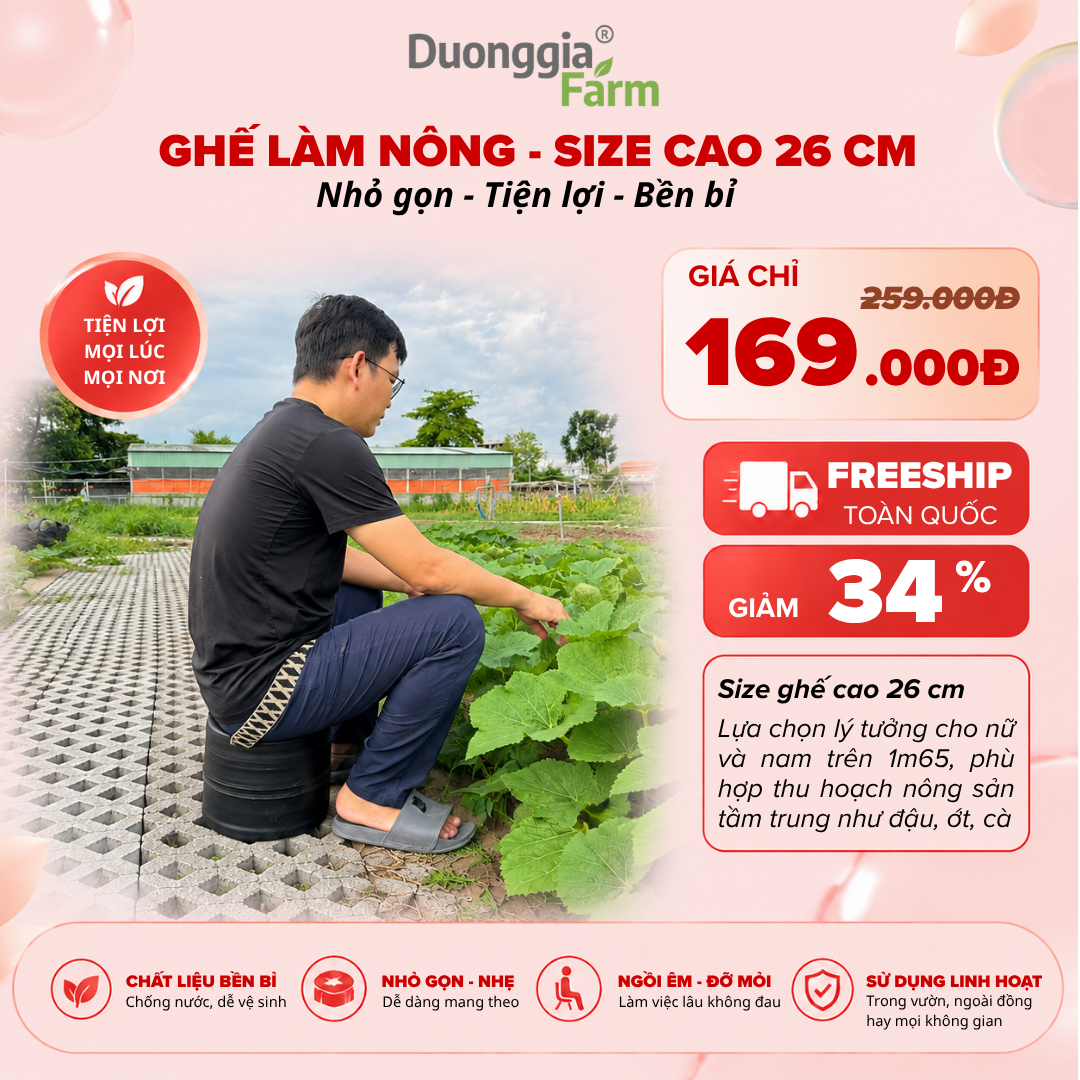 Ghế làm nông, làm vườn tiện lợi - Phong cách Hàn Quốc - Duonggia Farm
