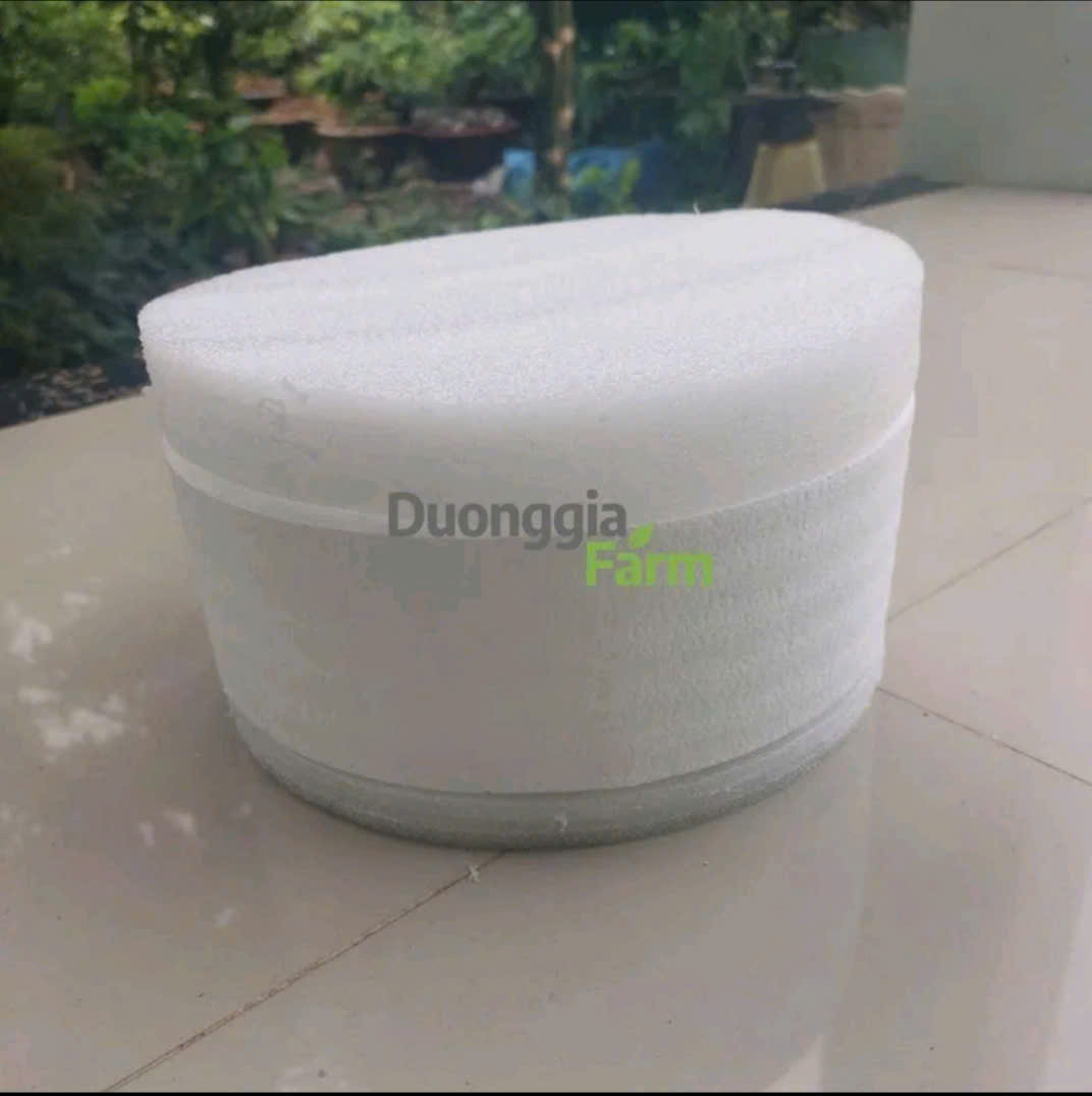Ghế Làm nông